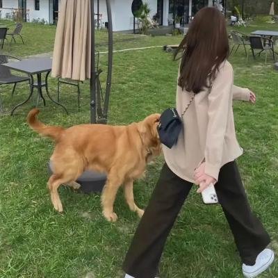 这是他!是的!是的!海报